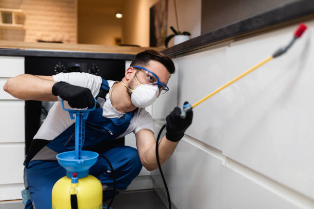Best Pest Control Near Me in Stephenville, TX