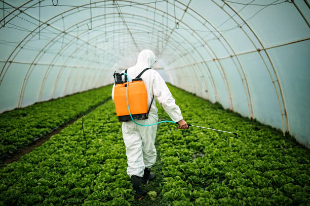 Best Pest Inspection Near Me  in Stephenville, TX