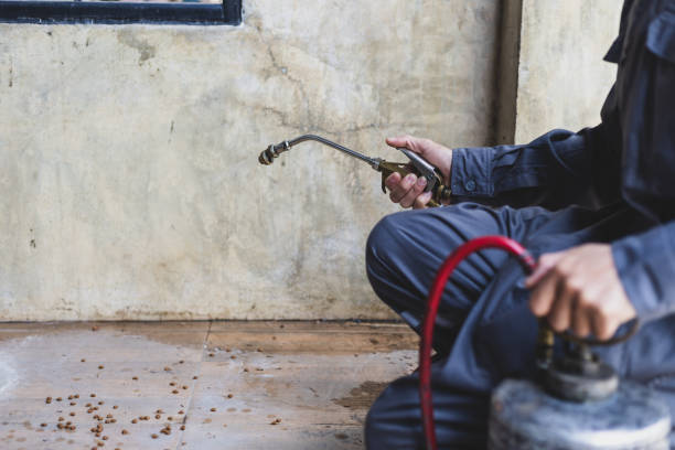 Reliable Stephenville, TX Pest Control Solutions